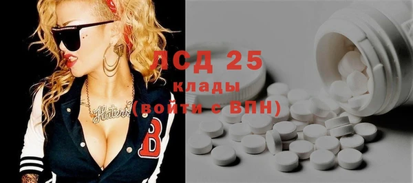 гашик Корсаков