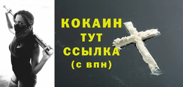 гашик Корсаков