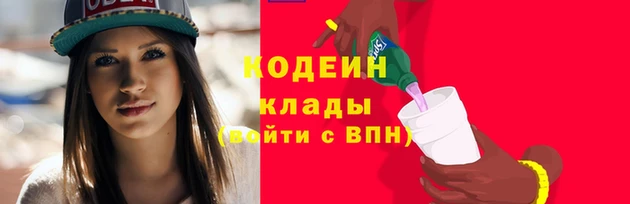 гашик Корсаков