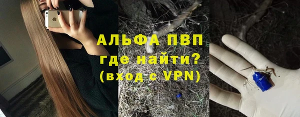 амф Коряжма