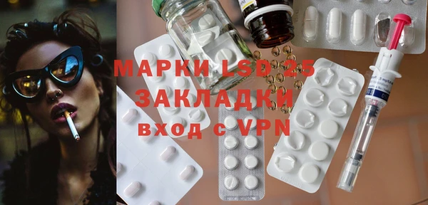 гашик Корсаков